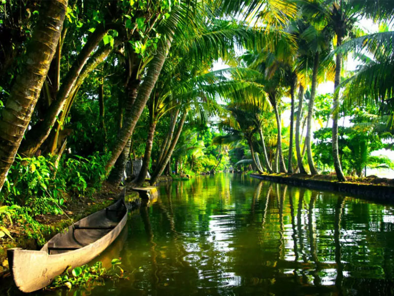 Best of Kerala Package 